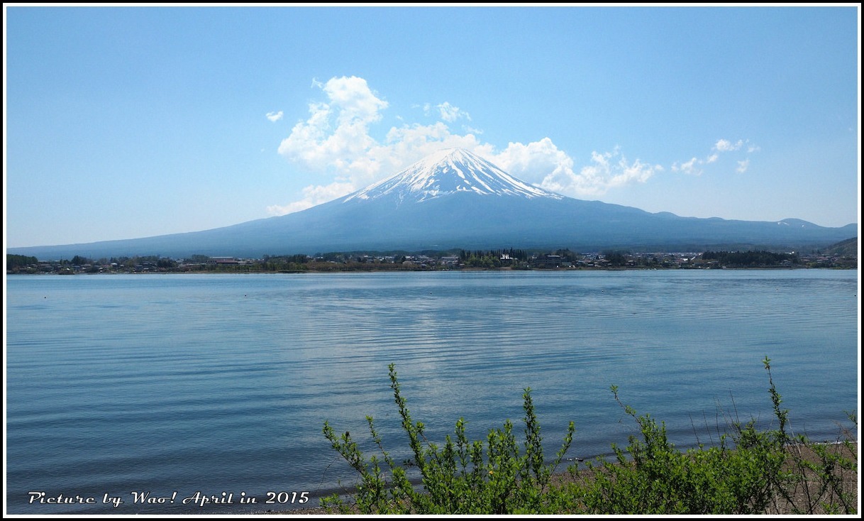 富士五湖と富士芝桜_c0198669_17221283.jpg