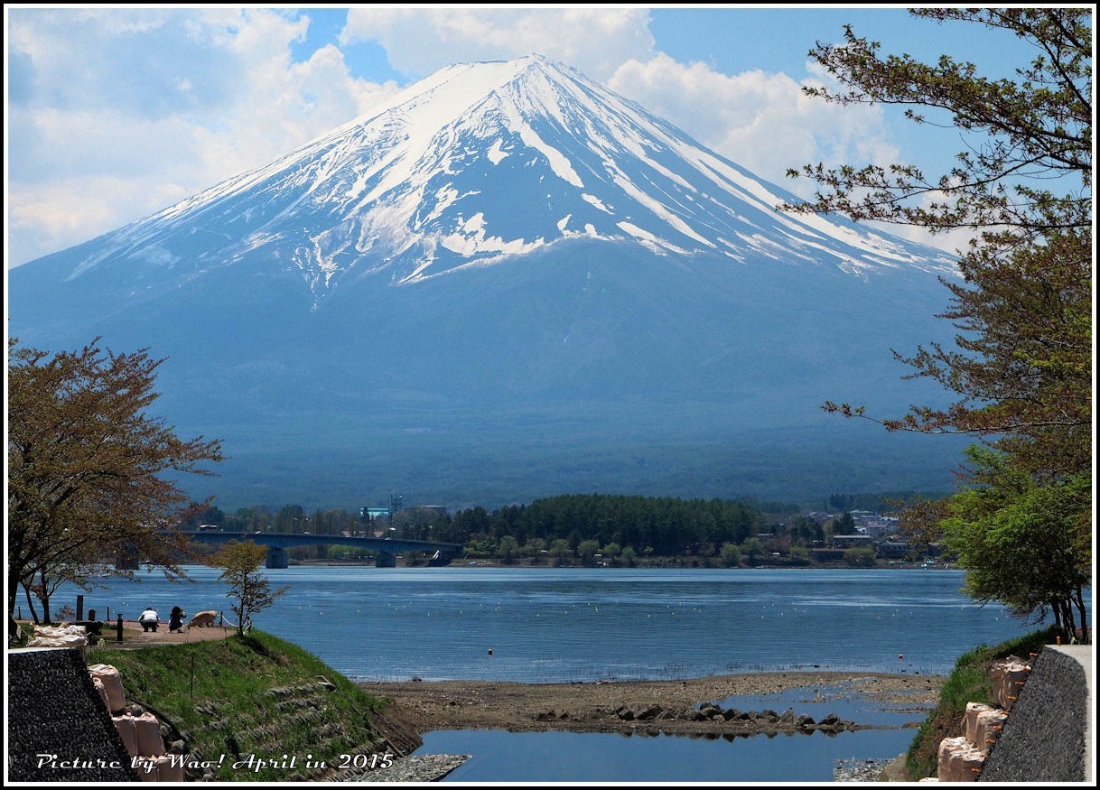 富士五湖と富士芝桜_c0198669_17224730.jpg