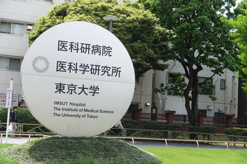 d0193569_1135929.jpg