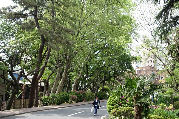 東京街歩き、東大医科研病院　_d0193569_11412717.jpg