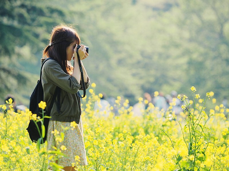 菜の花畑　ようやく見頃の頃_a0330871_22514427.jpg