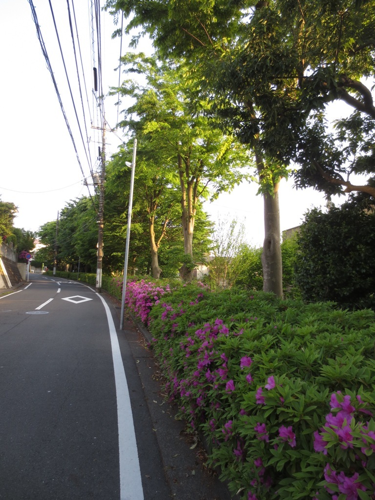 ゴールデンウィーク_c0310571_07061808.jpg