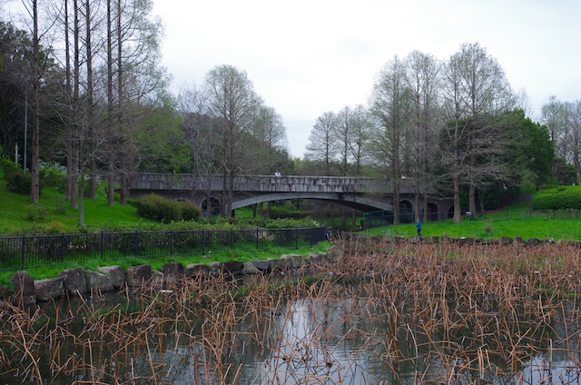 e0139376_848157.jpg