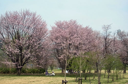 f0083977_051298.jpg