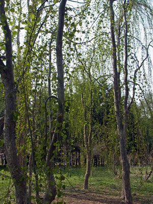 f0083977_052089.jpg