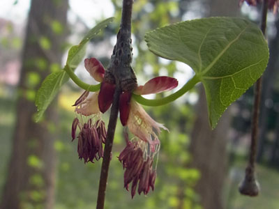 f0083977_0522368.jpg