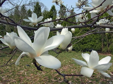 f0083977_0533856.jpg