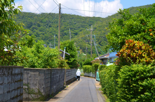 今日はいい天気だった♪_e0028387_21324019.jpg