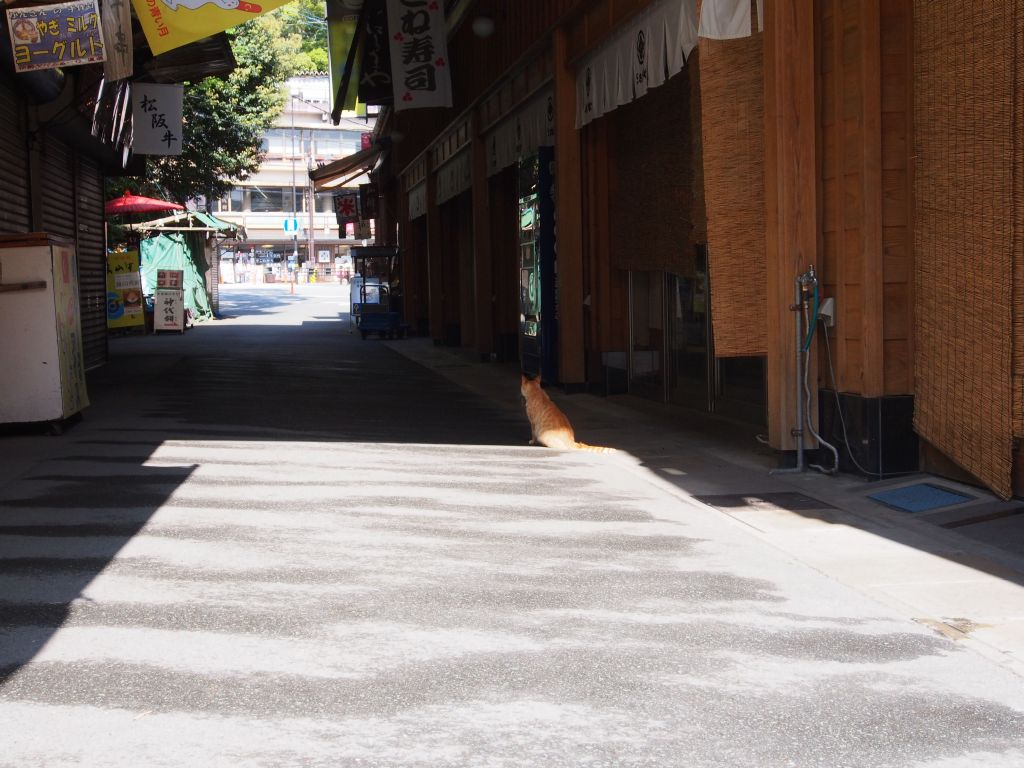 朔日参り(ついたちまいり)_e0200287_18274994.jpg