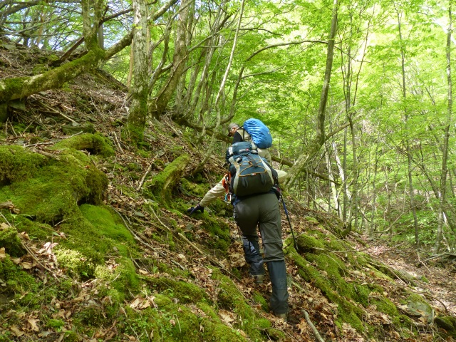 京の丈山へ柏川第一登山口から_f0357487_21512823.jpg