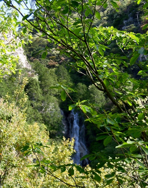 d0125589_1562411.jpg