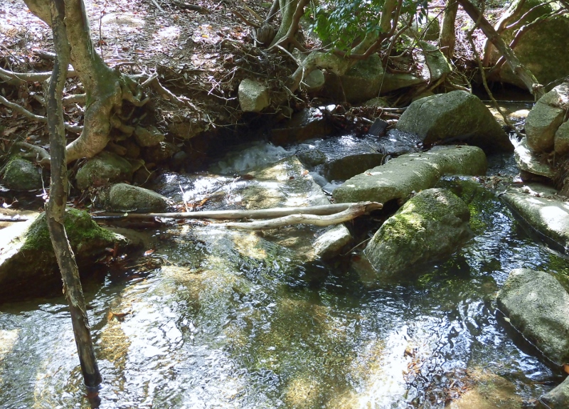 d0125589_1571693.jpg