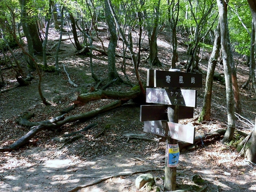 d0125589_1573596.jpg