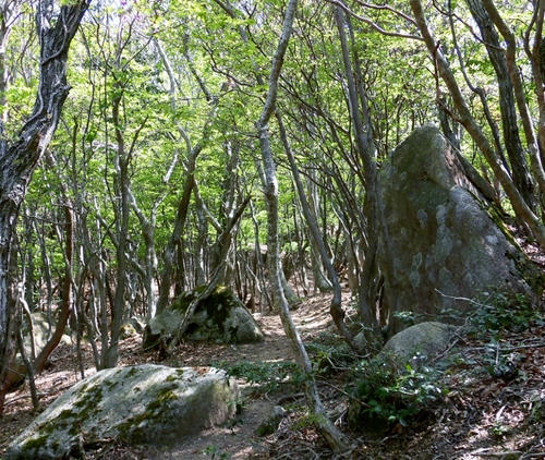 d0125589_1575224.jpg