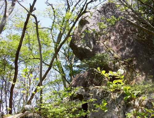 d0125589_1584693.jpg