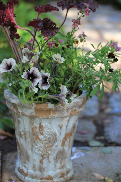 寄せ植え販売します Jardin Natu