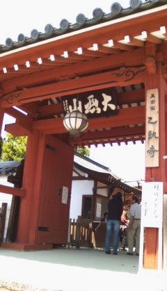 ぼたん：乙訓寺（おとくにでら）_b0205694_1555436.jpg