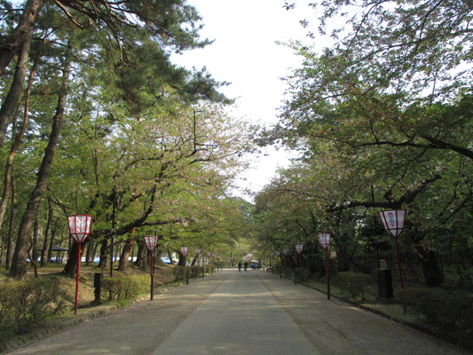 d0055395_12292621.jpg
