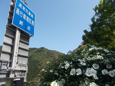 f0308898_20281662.jpg