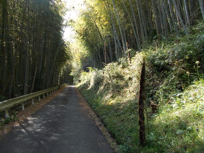 f0308898_21103839.jpg