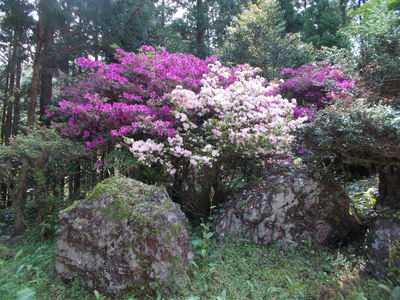 f0308898_21144725.jpg