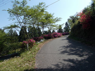 f0308898_21152076.jpg