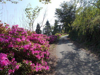 f0308898_21154678.jpg
