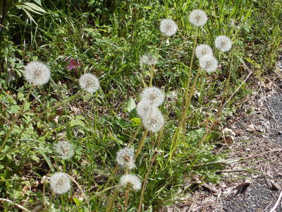 f0308898_21163896.jpg