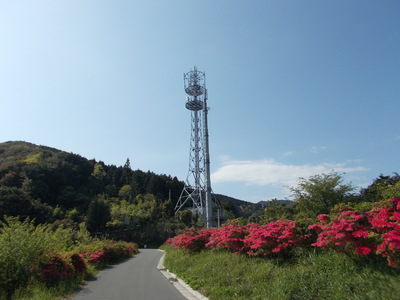 f0308898_21171776.jpg