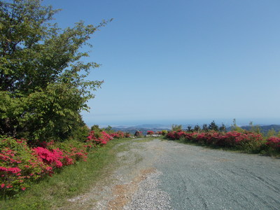 f0308898_21174828.jpg