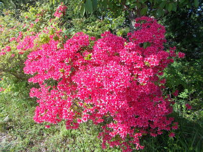 f0308898_2126154.jpg