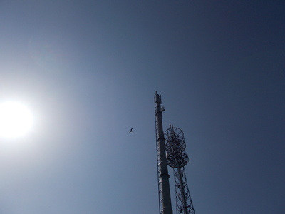 f0308898_21263355.jpg