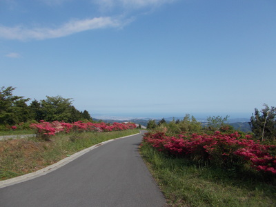 f0308898_2129566.jpg