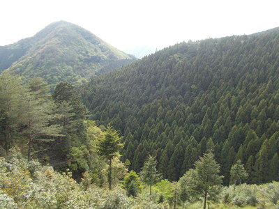 f0308898_21302493.jpg