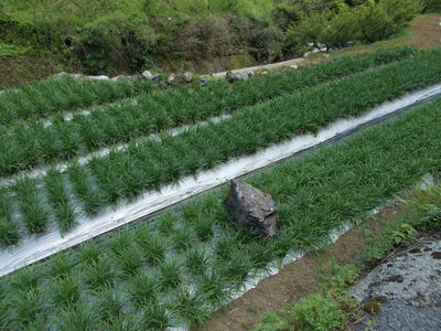 f0308898_21332393.jpg