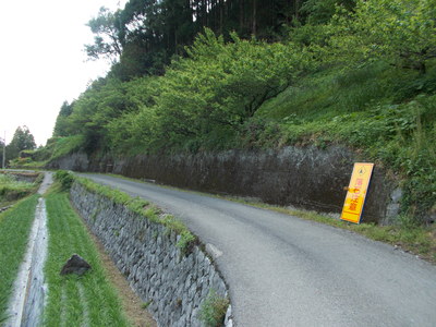 f0308898_2133870.jpg