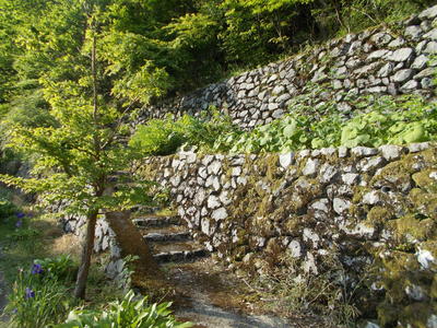 f0308898_21355442.jpg
