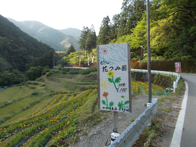 f0308898_21362050.jpg