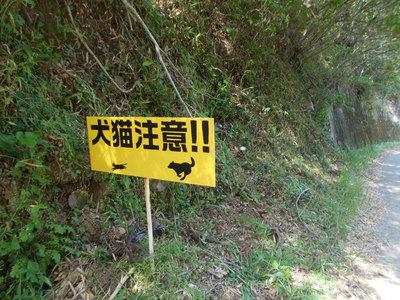 f0308898_2184843.jpg
