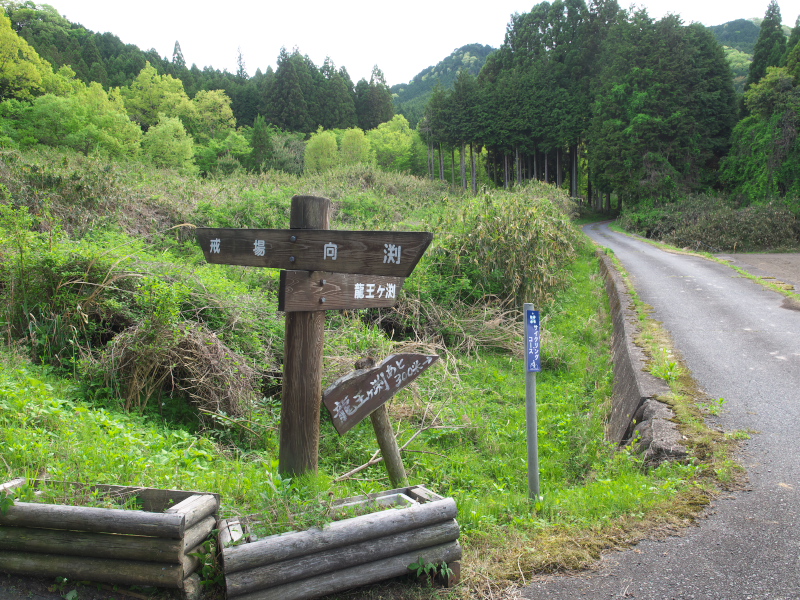 c0043403_20434118.jpg