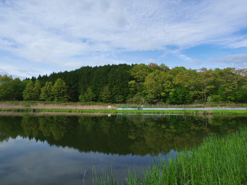 室生向渕　龍王ヶ渕_c0043403_20495013.jpg