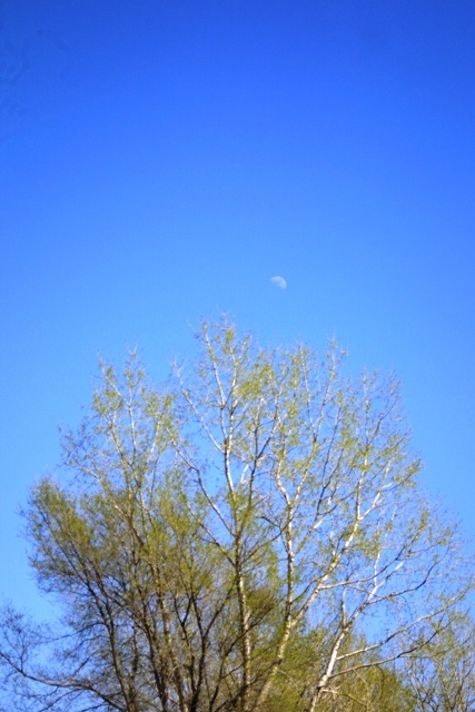 c0062603_10392832.jpg