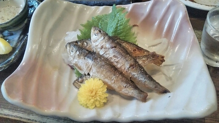 居酒屋「どどど」で晩ごはん@岡山_c0212604_4281250.jpg