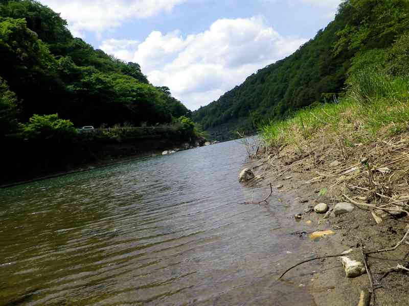 b0000209_2324845.jpg