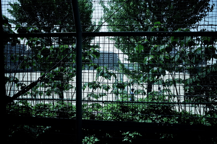e0145711_2195513.jpg