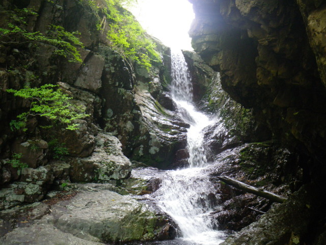 d0006512_18243876.jpg