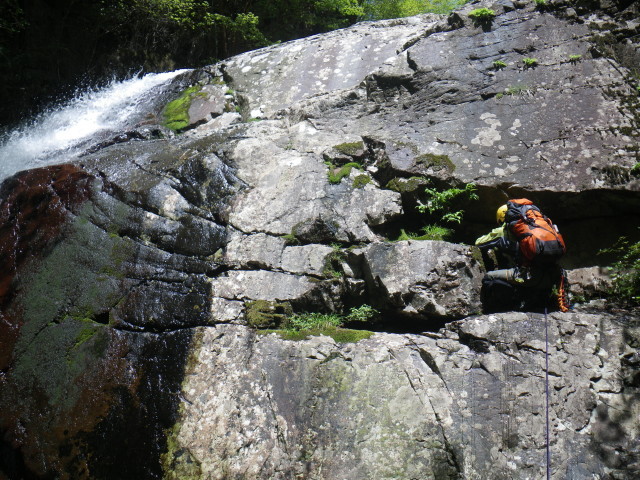 d0006512_18282957.jpg