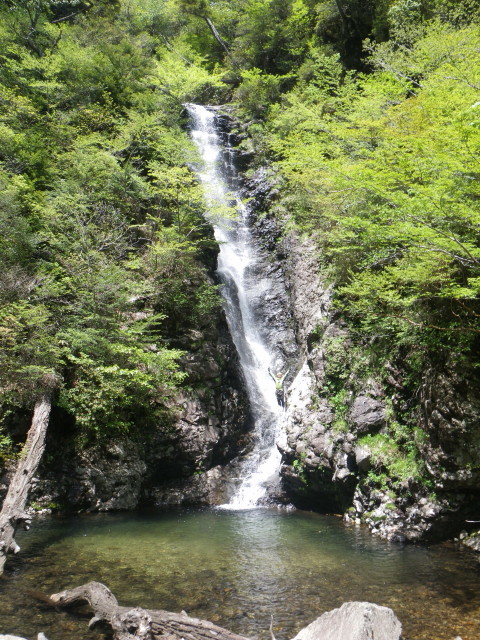 土呂久川上流　つが谷左股遡行_d0006512_18331700.jpg