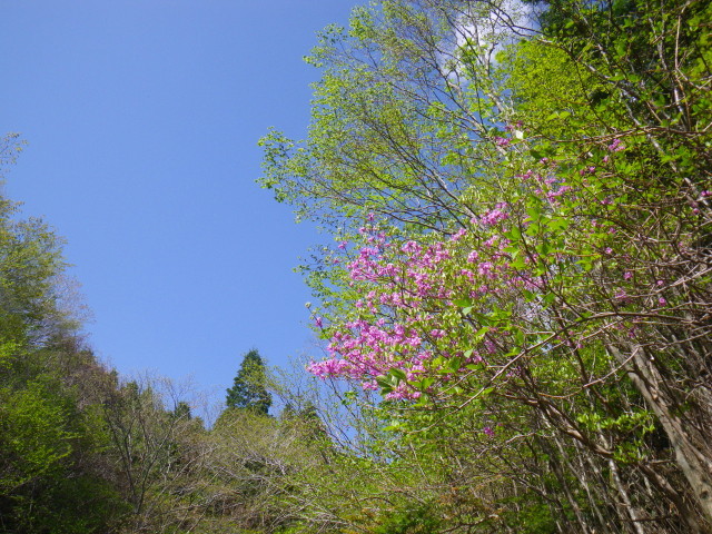 d0006512_18401038.jpg