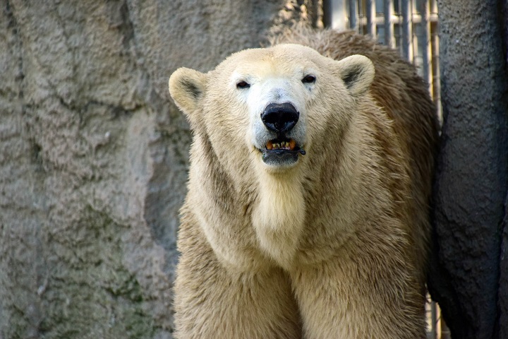 a0151913_10154435.jpg